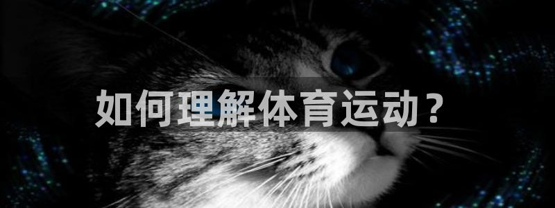 MK体育官网下载软件:如何理解体育运动?