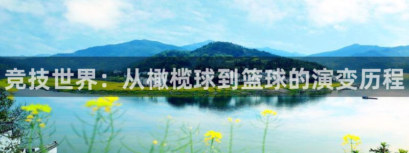 MK体育官方正版app娱乐首页网站大全:竞技世界:从橄榄球到