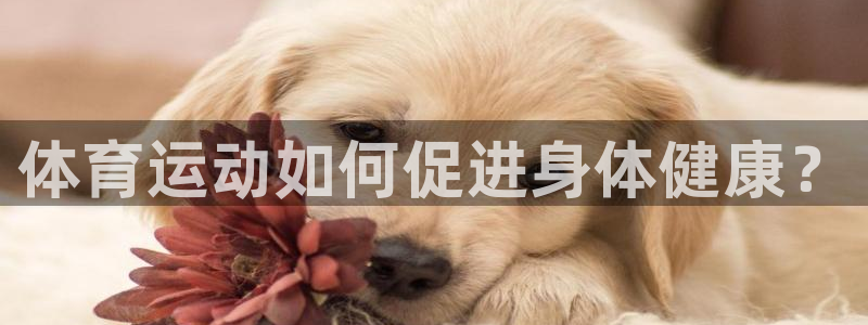 MK体育官网下载招商电话:体育运动如何促进身体健康?