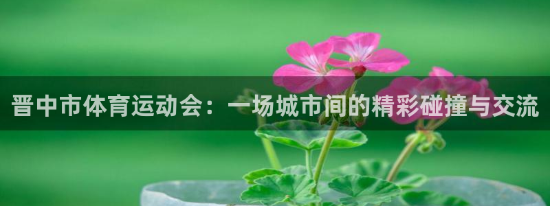 MK体育官方正版app集团官网首页网址:晋中市体育运动会:一