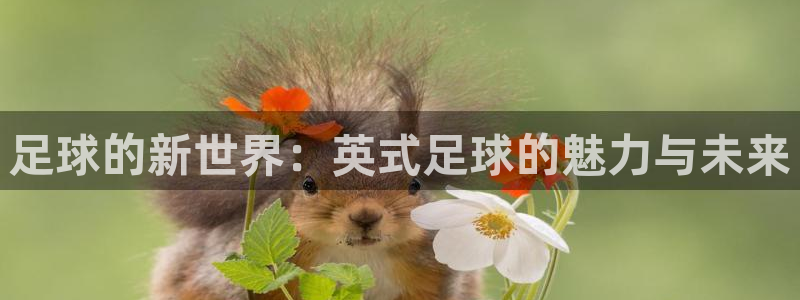MK体育官网下载娱乐:足球的新世界:英式足球的魅力与未来
